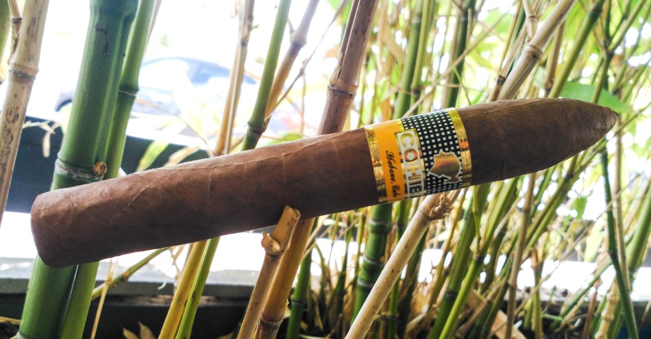 img_20160705_163713_edited_edited